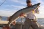 10 Tips and Tricks for Catching Walleye!
